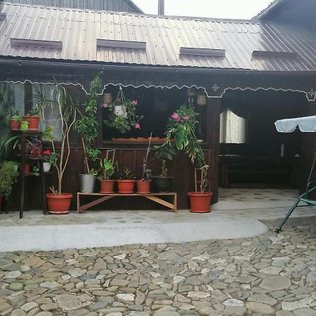 Casa Agroturistica Teodora Villa Mînăstirea Humorului Exteriör bild